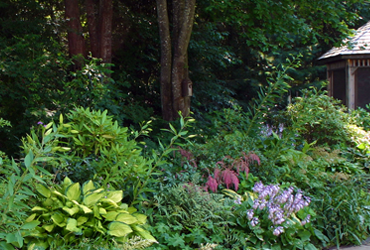 Supreme Landscaping can handle all your tree, shrub, and flower planting needs.